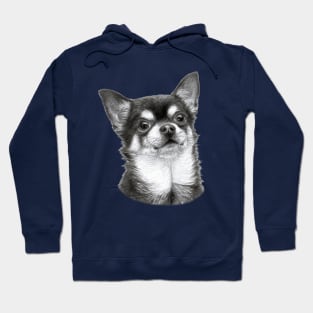 Chihuahua drawing Hoodie